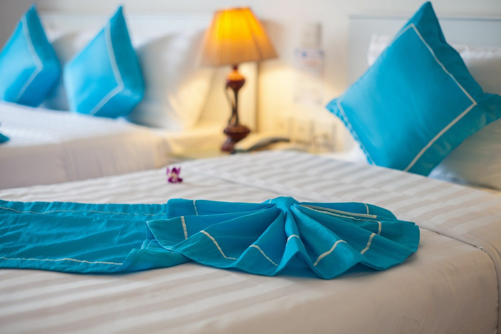 Hanoi Buddy Inn & Travel Esterno foto